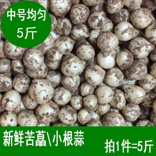 新鲜苦藠四川团葱小根蒜山葱头农家苦茭头小蒜薤白5斤包邮 - 封面