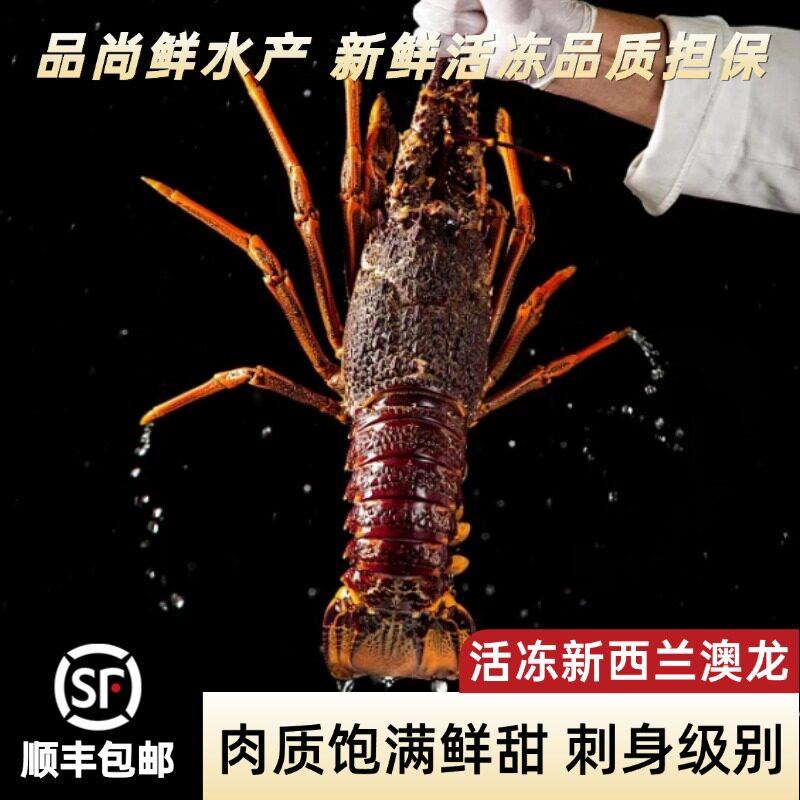 鲜活冷冻澳洲大龙虾新鲜特大澳龙虾2-6斤一只装大奥龙虾海鲜水产