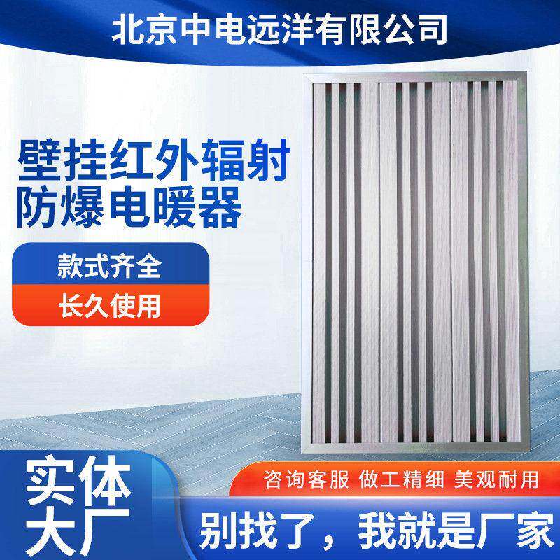 双面铝镁合金电暖气片红外辐射直热式电采暖壁挂可移电暖器片