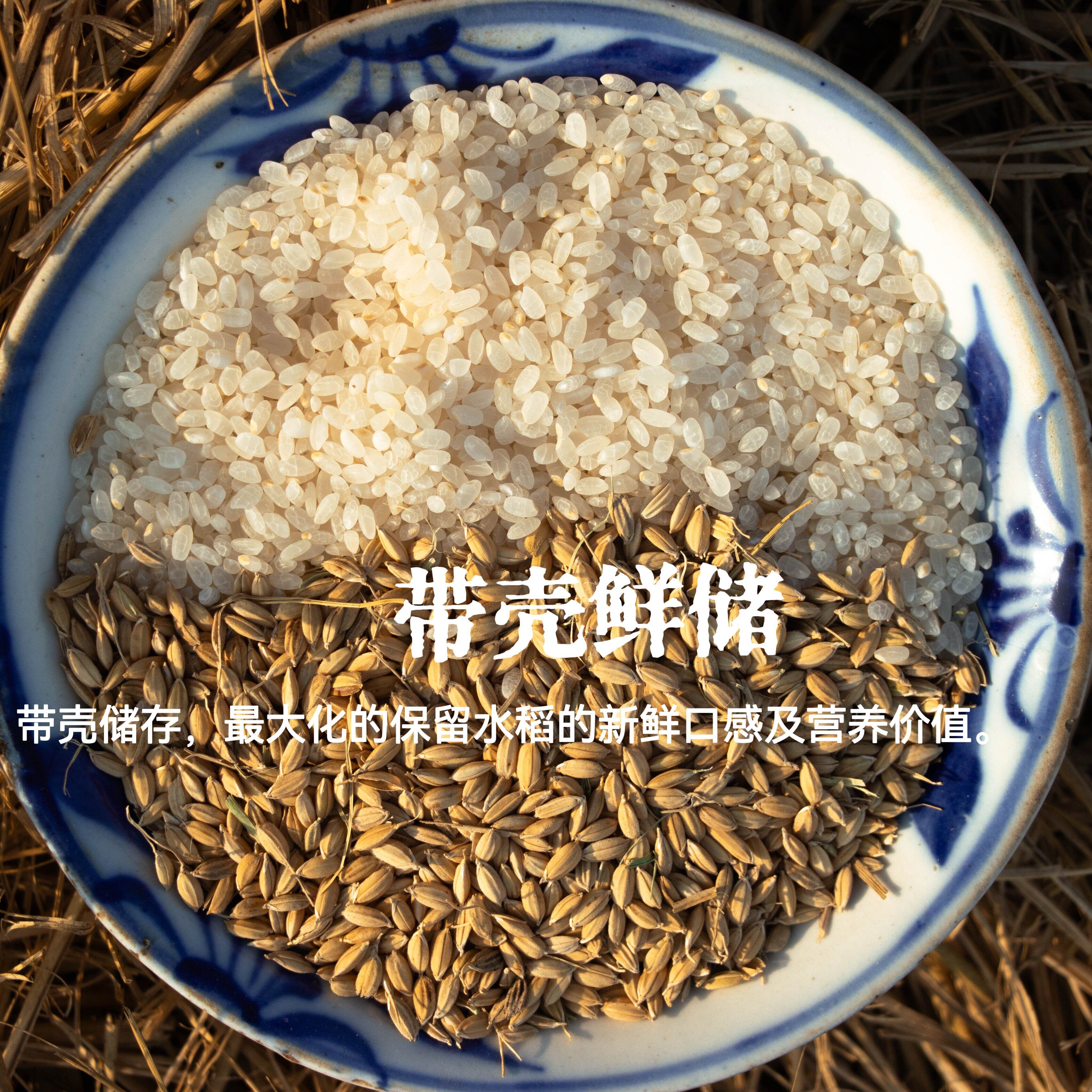 【秦贡良田】秦岭古稻长安桂花球大米鲜碾煮粥胚芽米秦贡农场直发