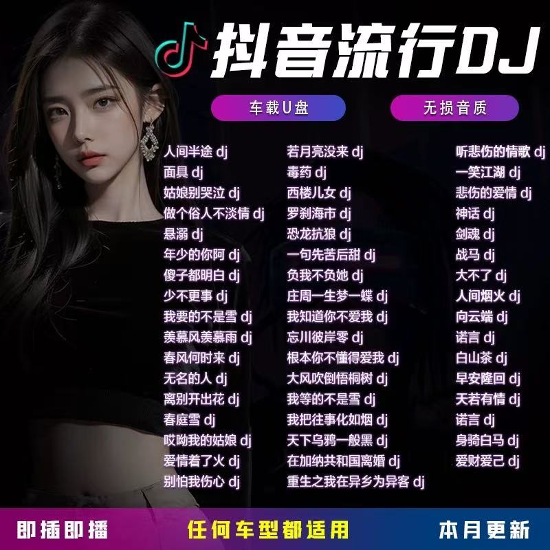 网络流行DJ劲爆嗨曲音乐车载u盘