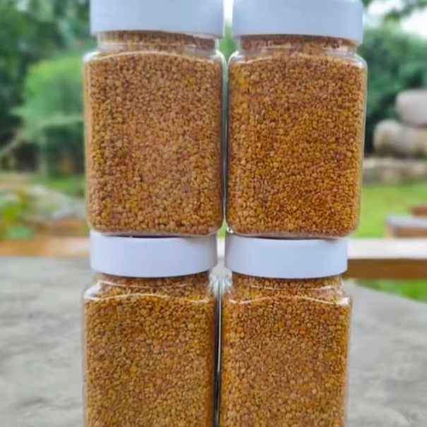 沂蒙花香新鮮茶花粉蜂花粉未破壁純天然食用新鮮活性高250克*2瓶
