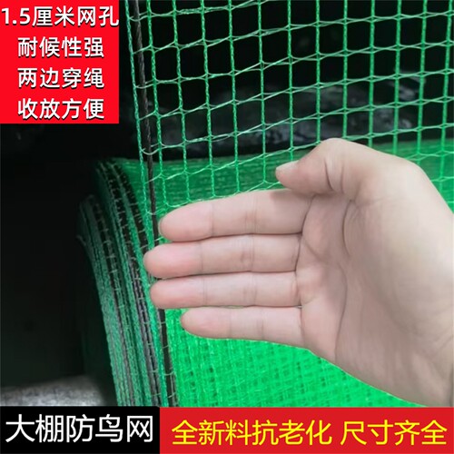 大棚防鸟网1.5厘米孔果蔬挡鸟网