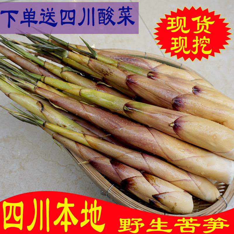 包邮野生苦笋新鲜四川省乐山宜宾甜笋苦竹笋春笋嫩笋子带壳现