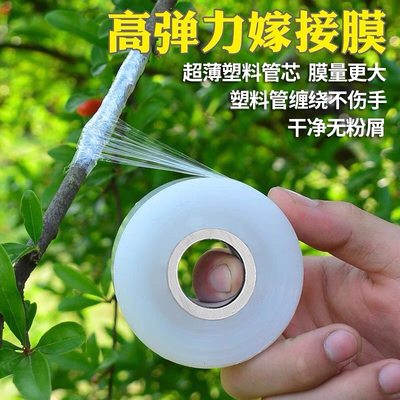 款嫁接膜PE无需打结薄膜塑料薄膜缠绕膜园林树膜高韧性膜拉伸透