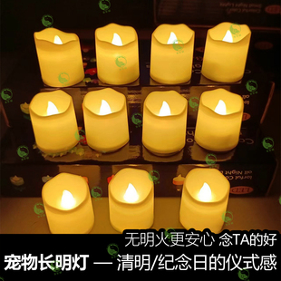 宠物祭祀电子长明灯 猫咪狗狗去世纪念仿真蜡烛 头七三七祭奠用品