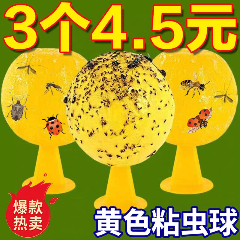 室内小飞虫果蝇诱捕器厨房盆栽灭杀神器卫生间除虫粘虫球无毒家用
