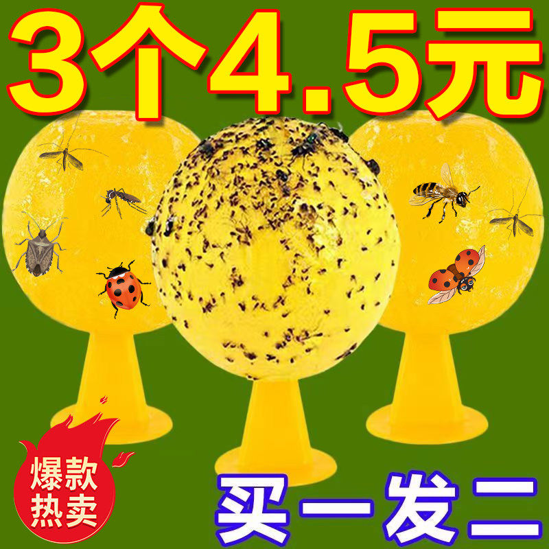 室内小飞虫果蝇诱捕器厨房盆栽灭杀神器卫生间除虫粘虫球无毒家用