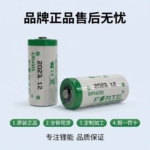 Forte孚特ER14335智能电水
