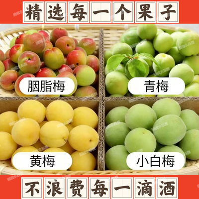 （精选）福建诏安青梅胭脂梅泡酒