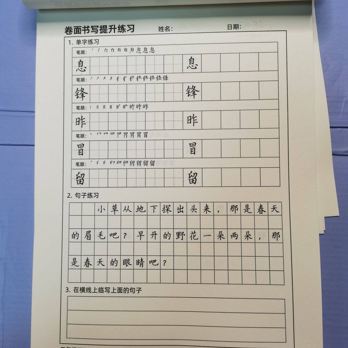 小学生字卷面书写提升训练作文格横线格123456年级硬笔书法练字帖