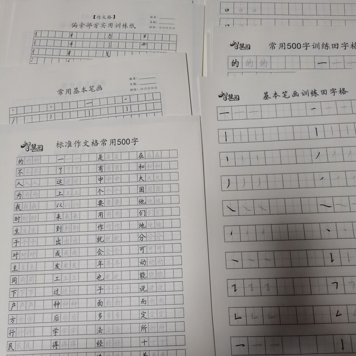 高频作文格练字帖基本笔画常用小学硬笔专项练习偏旁部首提升卷面