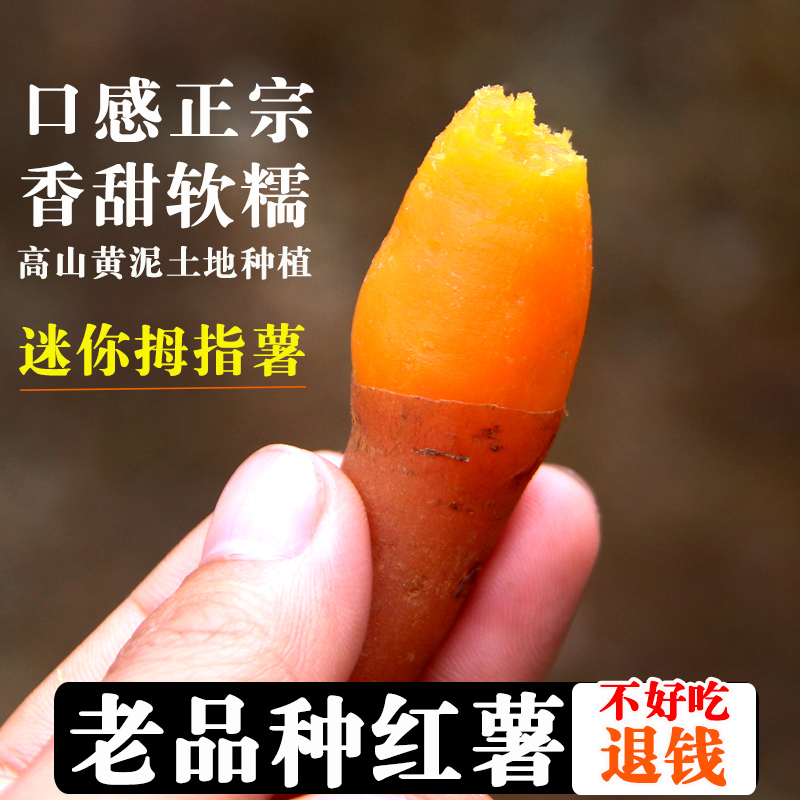 紫云红心薯农家新鲜番薯