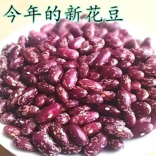 花豆贵州特产四季豆贵州新花豆红豆新货酸菜豆米红豆杂粮优质红豆