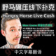 Hungry Horse野马碾压线下HCL德州扑克教学课程LiveCash实战复盘