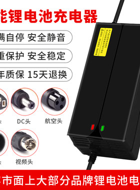 48V锂电池电瓶充电器三元13串54.6V2A5A8A10A快充锂电池充电器48V