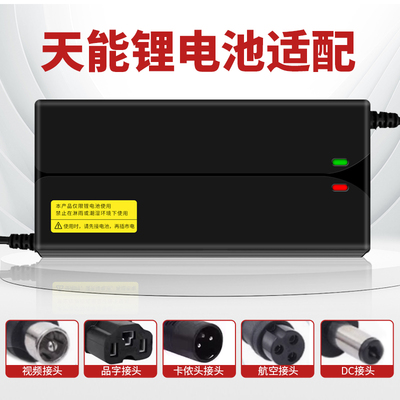 适用天能锂电池充电器48V60V72V36V2A3A5A爱玛新日台铃小刀