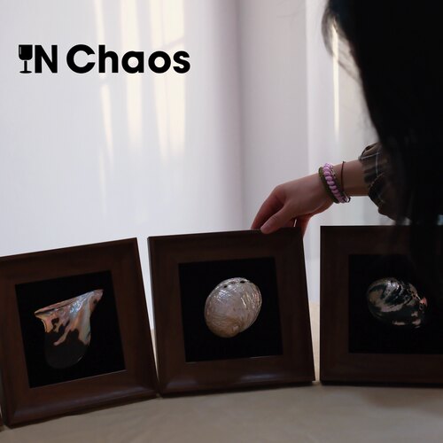 INChaos天然海螺相框摆台挂墙
