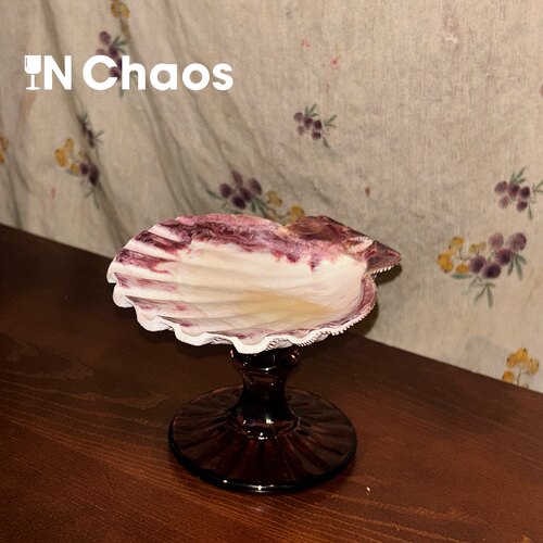 个性小众天然狮爪贝壳首饰托盘