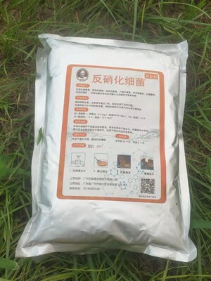 巴斯德 反硝化细菌 污水处理菌种 微生物菌 除总氮菌 微生物菌剂