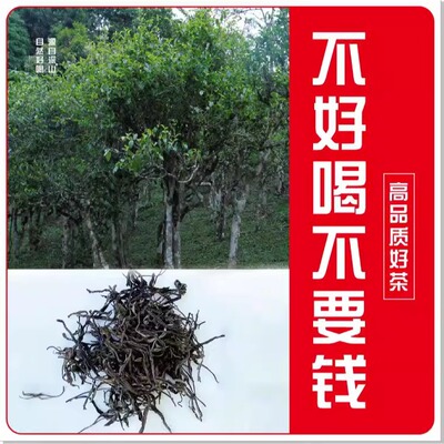 24年懂过春茶 生茶散茶 100克 原生态山头纯料普洱茶