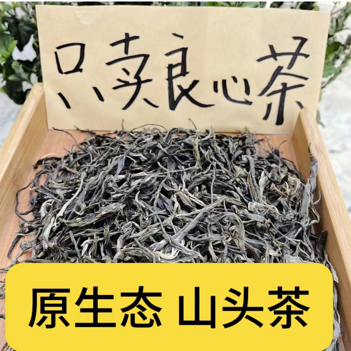 茶农直供 23年冰岛坝歪春茶 100克生茶散茶 原生态山头纯料普洱茶