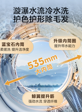 小天鹅TG10DE60全自动10KG纯平全嵌超微净泡顽渍净1.15洗衣机滚筒