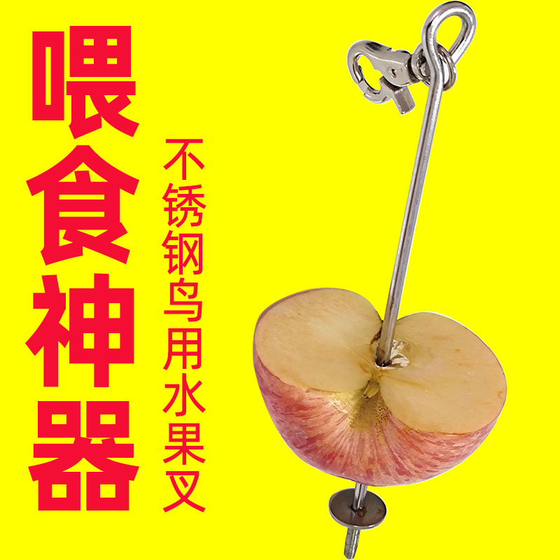 鹦鹉不锈钢鸟用水果叉