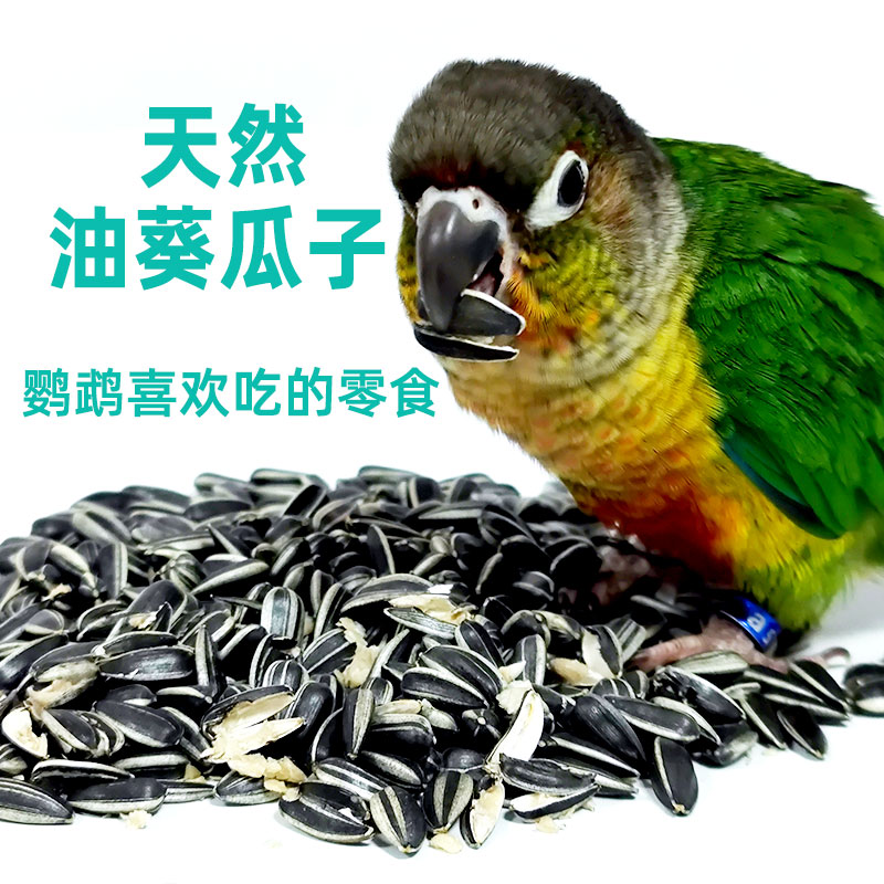 天然油葵小瓜子玄凤鹦鹉鸟粮鸟食