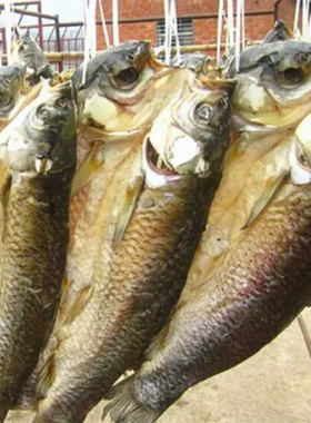 湖北特产风干腊鱼自制草鱼干咸鱼块腌鱼干鱼块切块500克