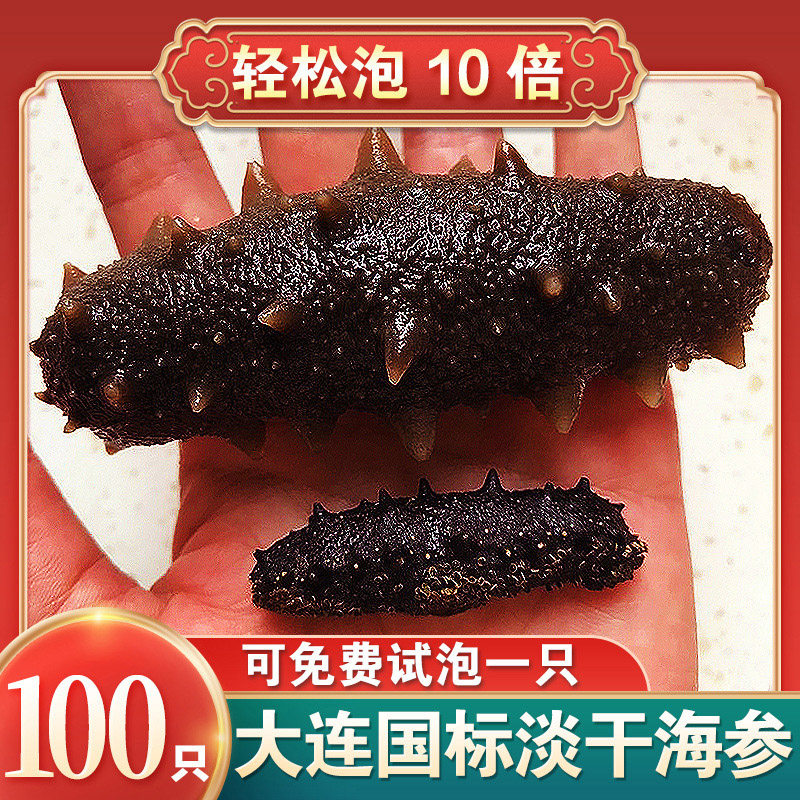 淡干庄河辽海参非即食海参500g辽刺参小海参干货海鲜海产品