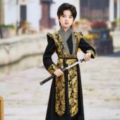 汉服 唐装 锦衣卫帅气侠客古装 飞鱼服中国男孩国学演出服春秋新款