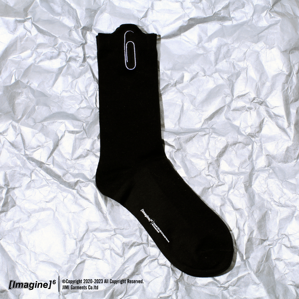 imagine6异形刺绣回形针长袜