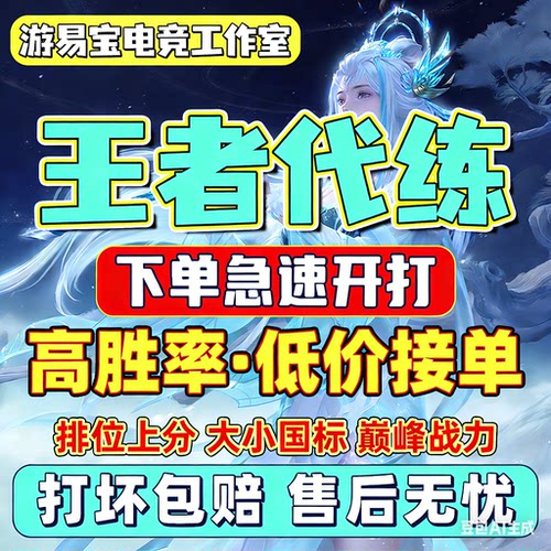 纯手工王者荣耀代练王者代打排位巅峰赛战力国标金标市标车队陪玩