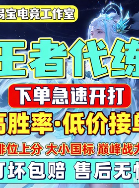 王者荣耀代练王者代打排位巅峰赛指定英雄国标金标市标车队陪玩