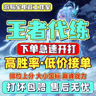 【特价|立享折扣】王者荣耀代打代练小国标省标排位战力巅峰上分