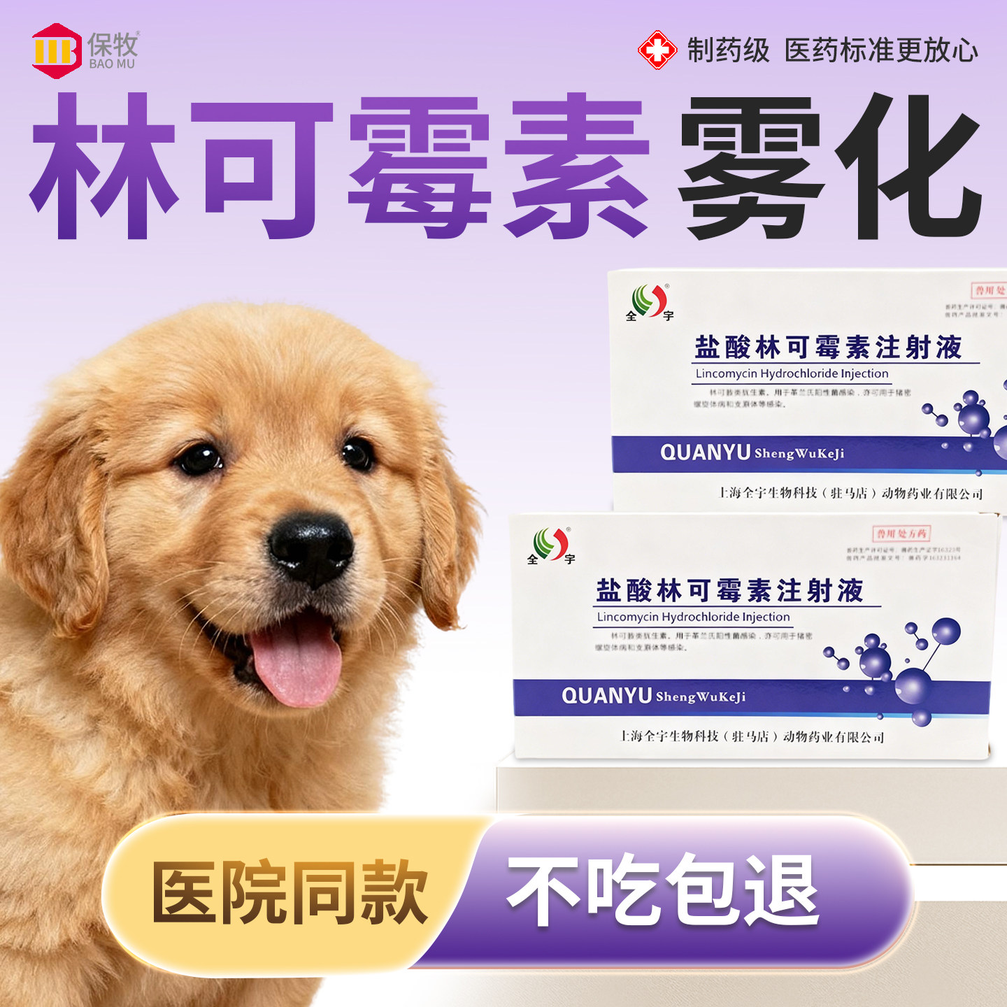 林可霉素雾化兽用猫狗猪牛羊咳嗽肺炎尿路感染咳喘发烧炎症消炎