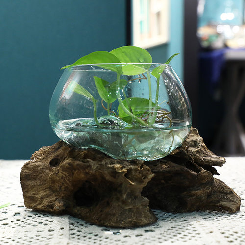 简约创意家居天然实木底座玻璃水培鱼缸摆件 绿植水培不规则器皿