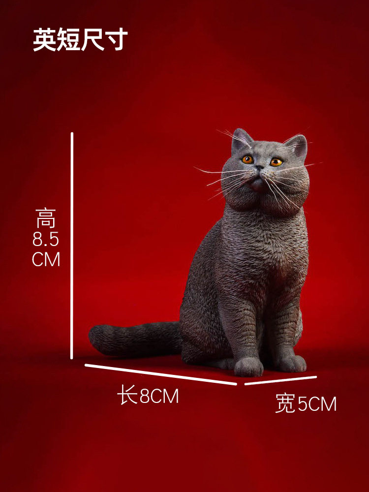 短毛猫/蓝猫/黑猫模型 仿真小猫咪英短周边玩偶手办摆件图片