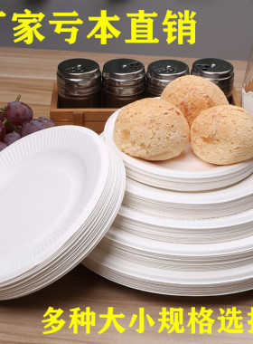 一次性餐盘菜盘蛋糕盘子纸碟子托盘白色加厚餐具绘画圆盘骨碟纸盘