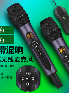 A8L万能无线麦克风带混响话筒一拖二U段户外音响ktv声卡唱歌家用