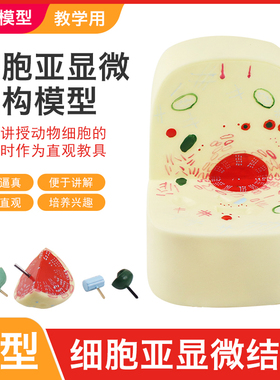 细胞亚显微结构模型 细胞膜模型生物演示教具小学初中高中生物实验器材教学仪器33302