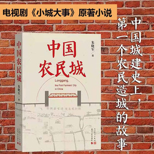 【认准正版】中国农民城 赵丽颖黄晓明主演电视剧小城大事原著小说 朱晓军著 中国城建史上第一个农民造城的故事 人民文学出版社