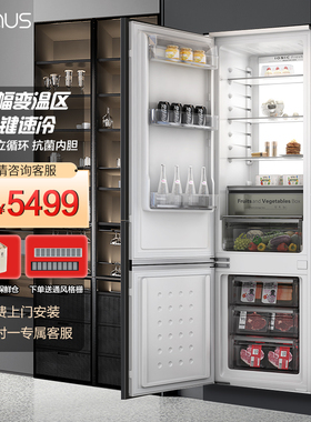 Artaus阿塔斯全嵌入式冰箱内嵌双开门超薄橱柜一体隐藏镶入RK260