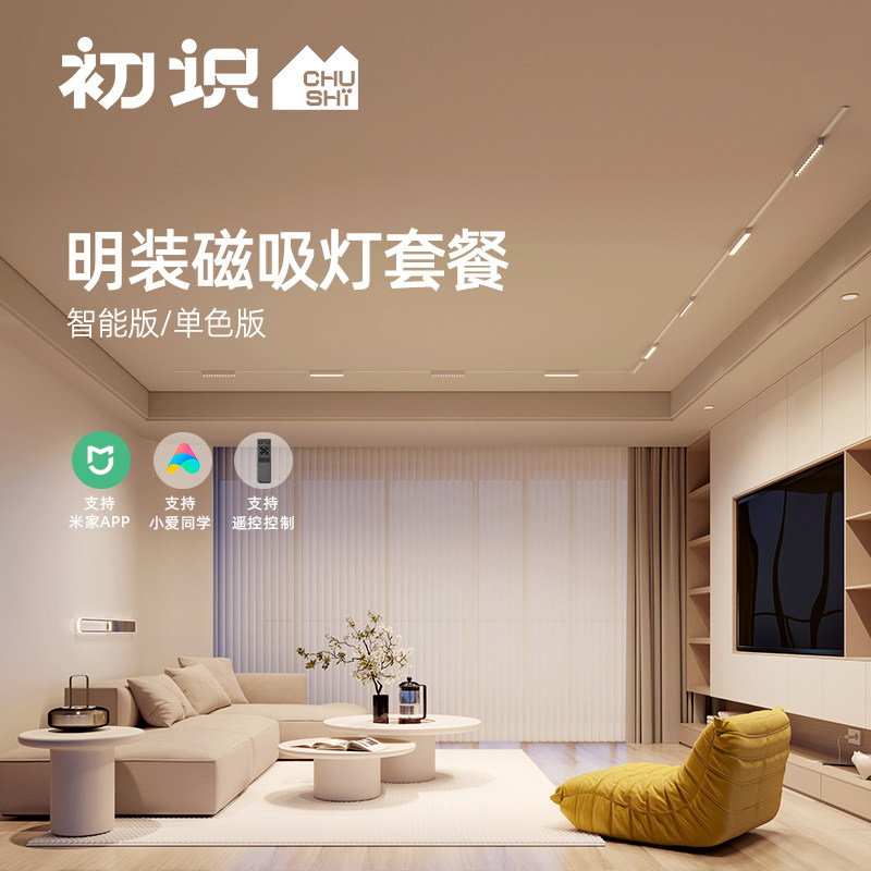 初识超薄明装磁吸轨道灯全屋套餐组合卧室客厅米家智能无主灯照明属于什么档次？