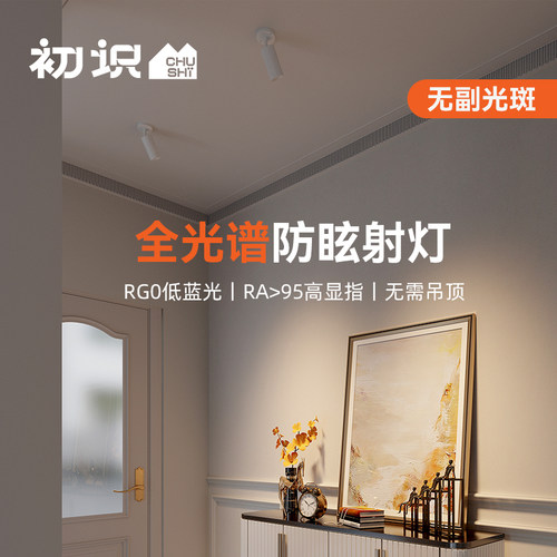 【行业推荐】高亮度明装轨道射灯