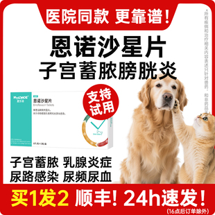 恩诺沙星片安共消片猫咪子宫蓄脓药狗狗宫脓清宠物宫妙的平乳腺炎
