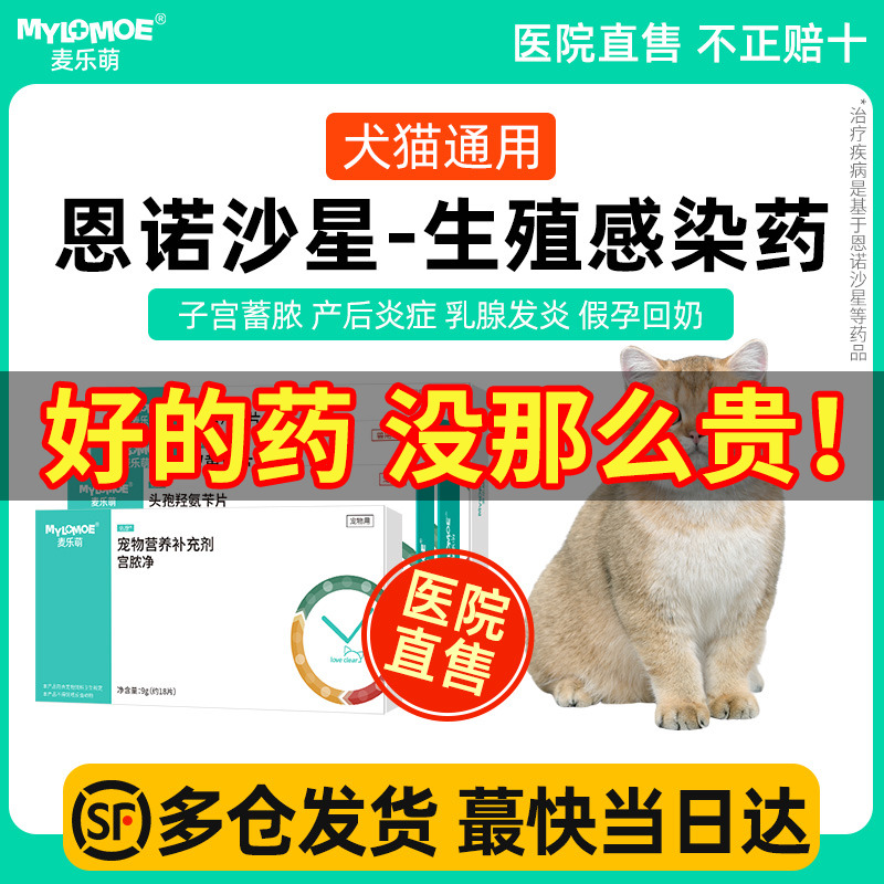 麦乐萌猫咪子宫蓄脓宫脓请