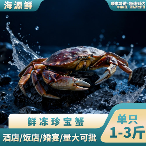 进口新鲜珍宝蟹活冻整只面包蟹