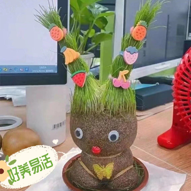 草头娃娃小盆栽种植物浇水长头发迷你绿植头上长草人儿童观察生长